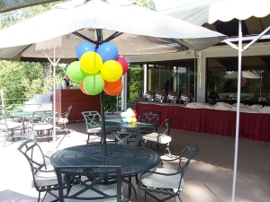 Outdoor patio with metal tables and chairs, balloons on umbrella, buffet table with red skirt, and trees in the background.